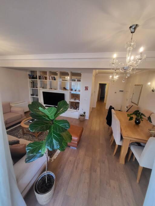 House Tirana